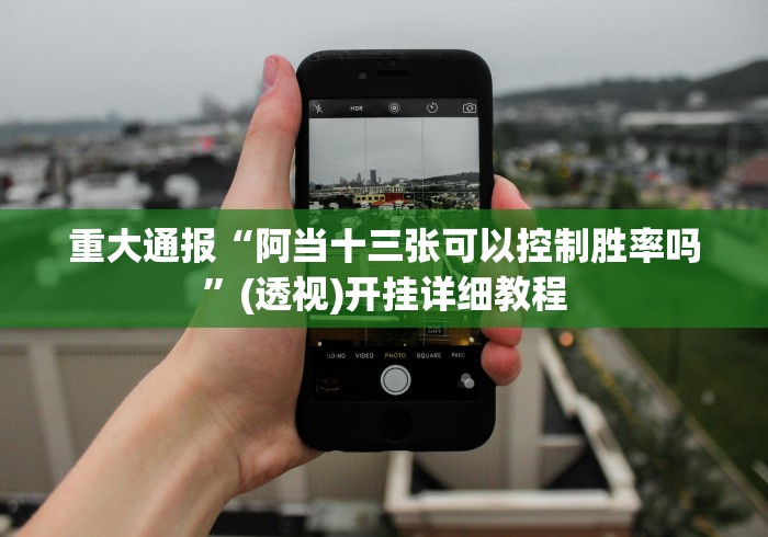 重大通报“阿当十三张可以控制胜率吗”(透视)开挂详细教程