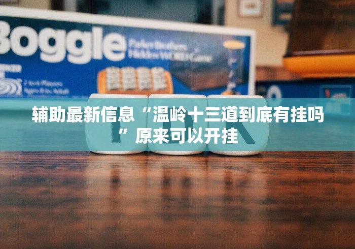 辅助最新信息“温岭十三道到底有挂吗”原来可以开挂