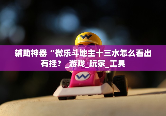 辅助神器“微乐斗地主十三水怎么看出有挂？_游戏_玩家_工具