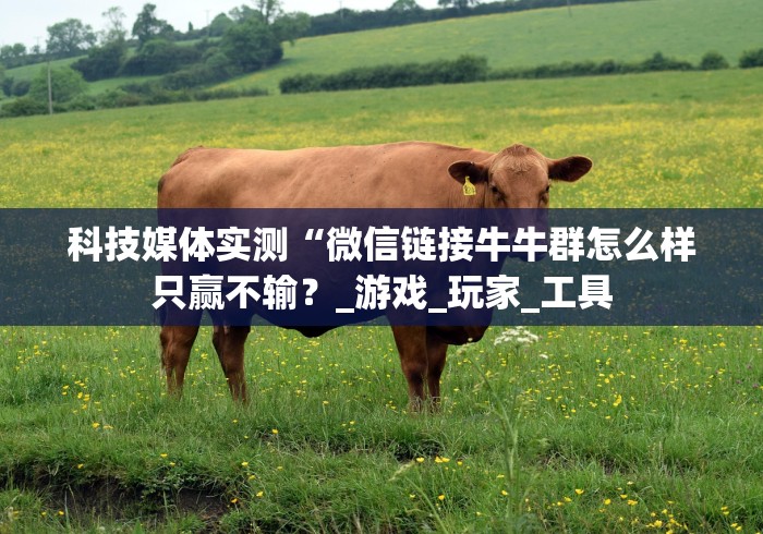 科技媒体实测“微信链接牛牛群怎么样只赢不输？_游戏_玩家_工具