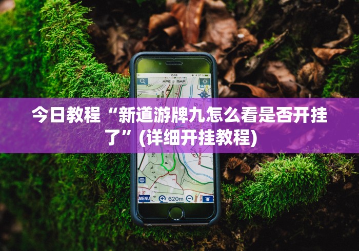 经验传递“口袋十三水怎样增加胜率(确实真的有挂)-知乎