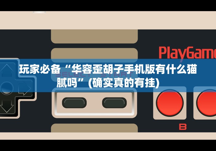 玩家辅助神器：“千岛湖十三道怎么装挂”详细分享装挂步骤