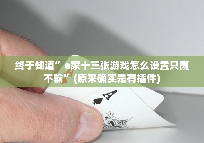 终于知道”e家十三张游戏怎么设置只赢不输”(原来确实是有插件)