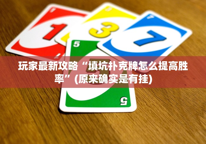 玩家最新攻略“填坑扑克牌怎么提高胜率”(原来确实是有挂)