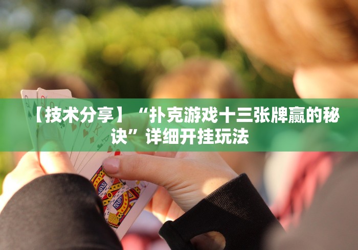 开挂辅助工具“十三道有挂吗开挂是怎样的”开挂(透视)辅助教程