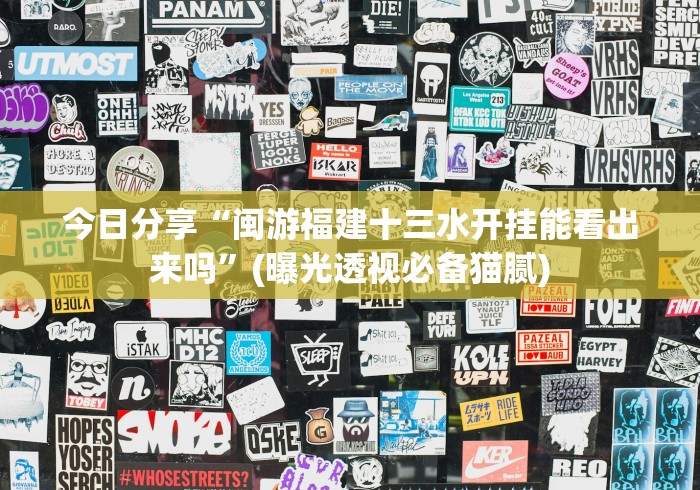 今日分享“闽游福建十三水开挂能看出来吗”(曝光透视必备猫腻)