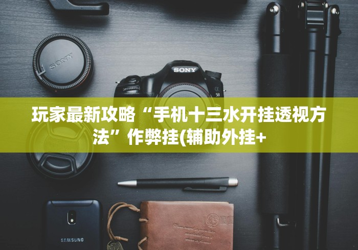 玩家最新攻略“手机十三水开挂透视方法”作弊挂(辅助外挂+