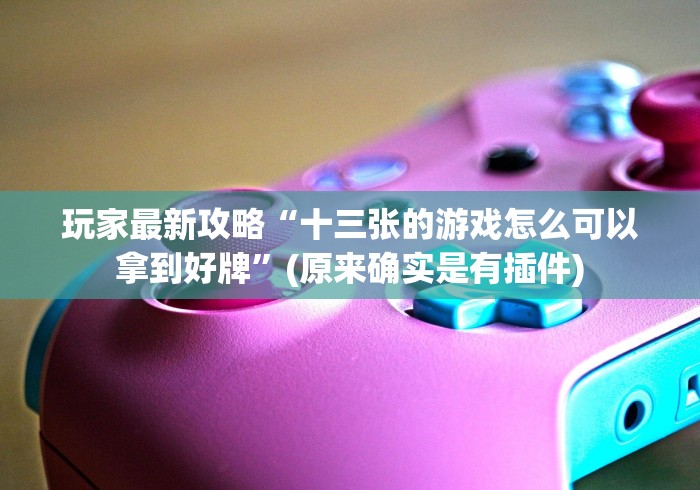 玩家最新攻略“十三张的游戏怎么可以拿到好牌”(原来确实是有插件)