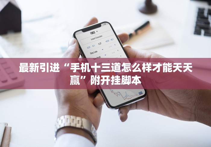最新引进“手机十三道怎么样才能天天赢”附开挂脚本